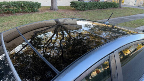 2012 Toyota Prius Three