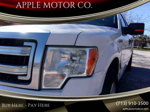 2014 Ford F-150 for sale at APPLE MOTOR CO. in Houston TX