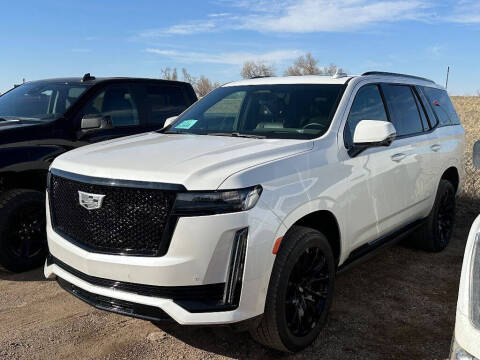 2022 Cadillac Escalade for sale at Platinum Car Brokers in Spearfish SD