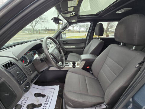 2011 Ford Escape XLT