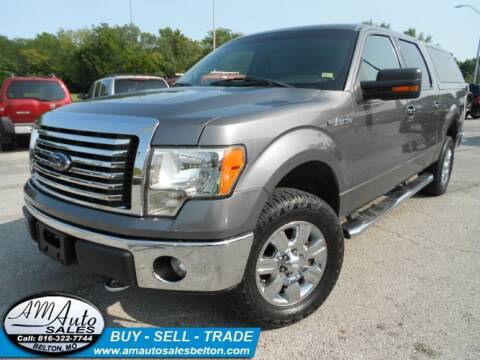 2012 Ford F-150 for sale at A M Auto Sales in Belton MO
