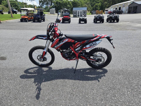 2024 TrailMaster TM 38EX-300