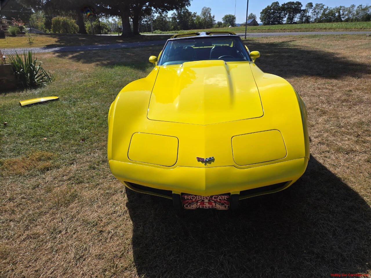 1977 Chevrolet Corvette 14