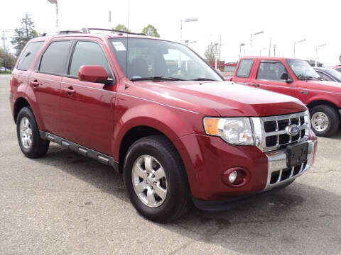 2011 Ford Escape for sale at Wilson Auto Sales in Fairborn OH