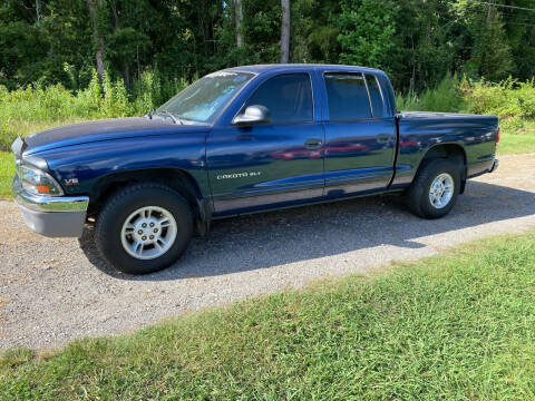 2000 Dodge Dakota for sale at L&M Auto Sales in Simpsonville SC