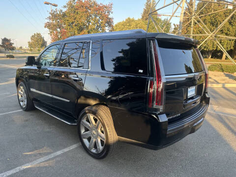 2016 Cadillac Escalade Luxury Collection