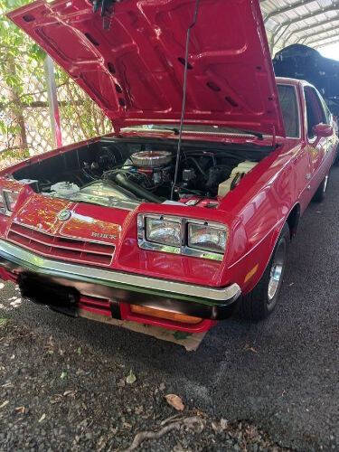 1975 Buick Skyhawk