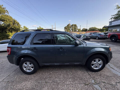 2010 Ford Escape XLT