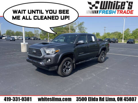 2019 Toyota Tacoma for sale at White's Honda Toyota of Lima in Lima OH