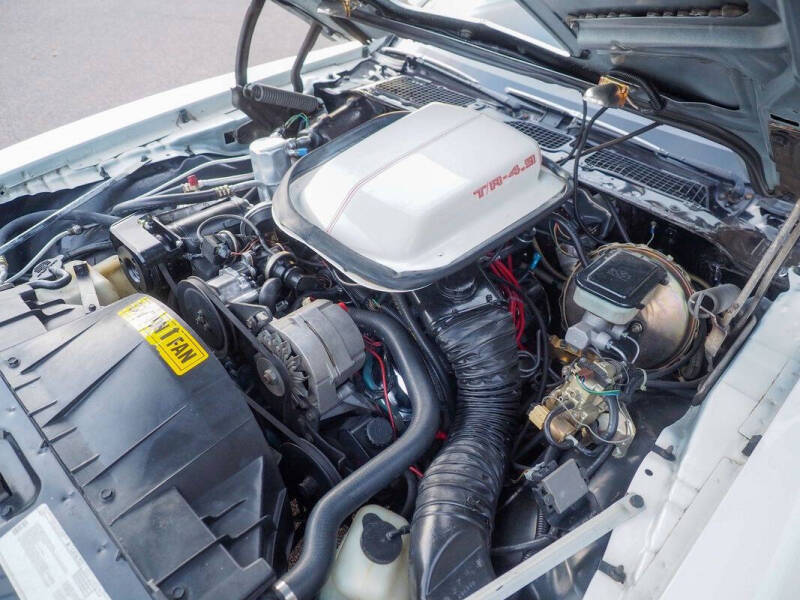 1981 Pontiac Firebird Trans Am