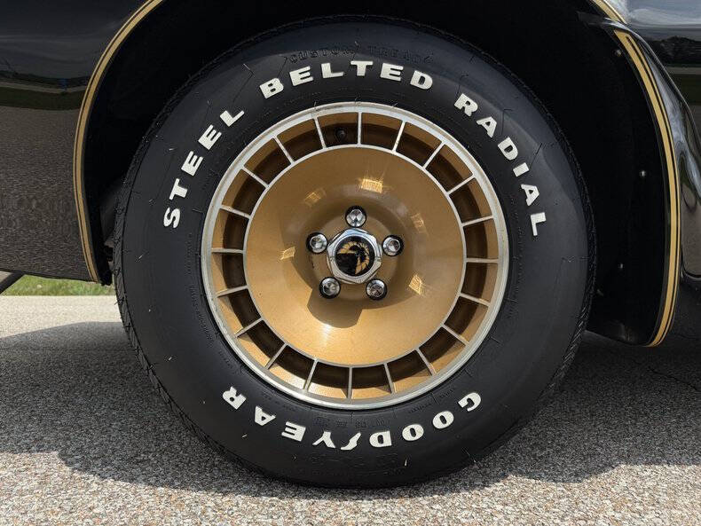 1981 Pontiac Firebird Trans Am