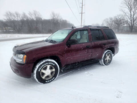 2006 Chevrolet TrailBlazer for sale at MINT MOTORS LLC in North Judson IN