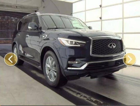 2018 Infiniti QX80 for sale at Southern Star Automotive, Inc. in Duluth GA