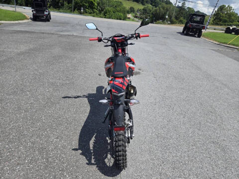 2024 TrailMaster TM 38EX-300