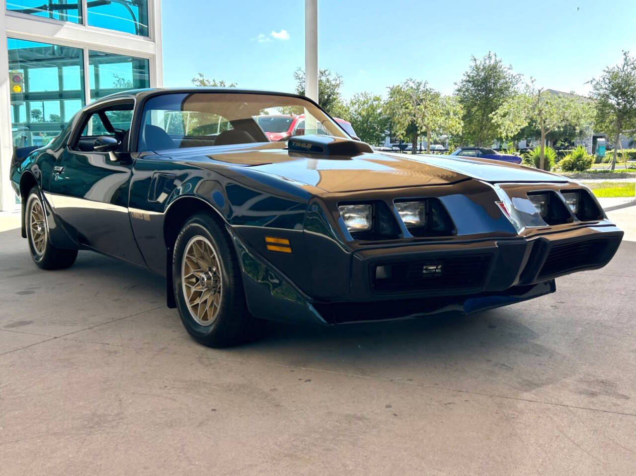 1981 Pontiac Firebird 3