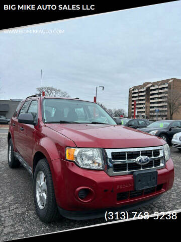 2010 Ford Escape for sale at BIG MIKE AUTO SALES LLC in Lincoln Park MI