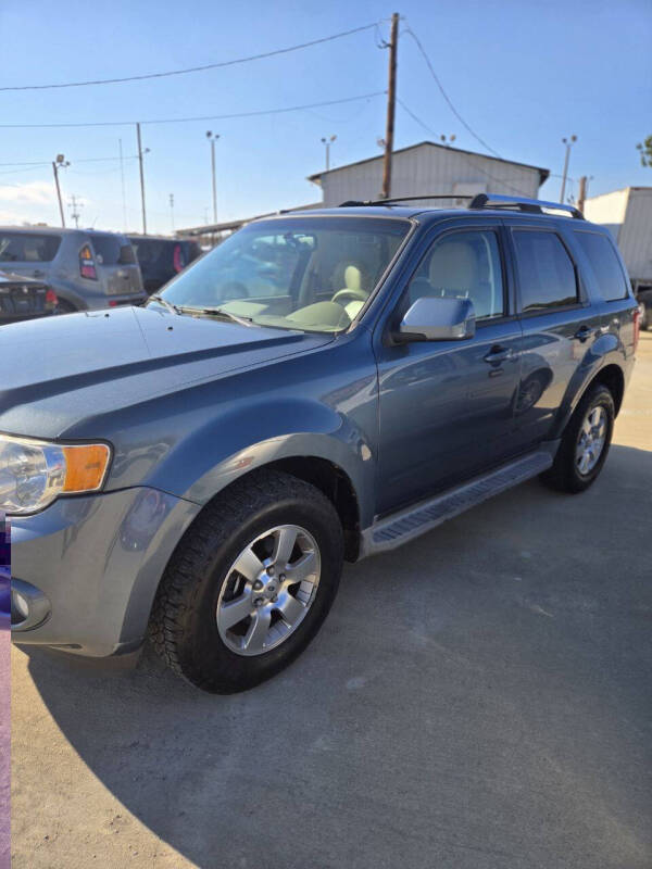 2011 Ford Escape Limited photo 3