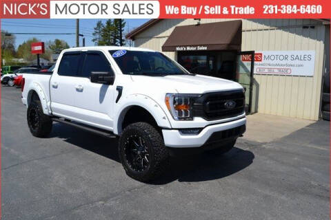 2021 Ford F-150 for sale at Nick's Motor Sales in Kalkaska MI