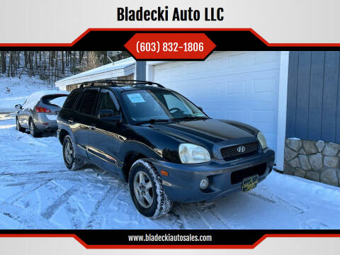 2004 Hyundai Santa Fe for sale at Bladecki Auto LLC in Belmont NH