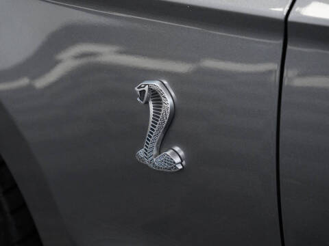 2013 Ford Shelby GT500