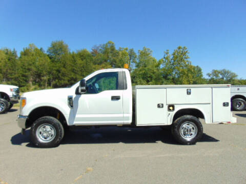 2017 Ford F-250 Super Duty for sale at E & M AUTO SALES in Locust Grove VA