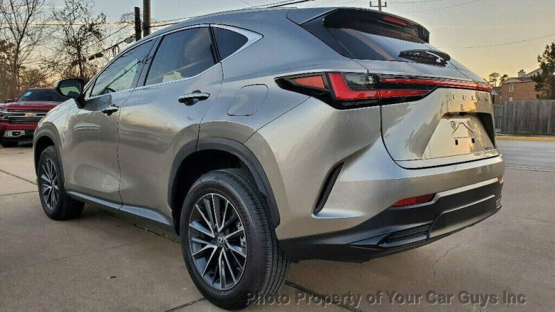 2024 Lexus NX 250