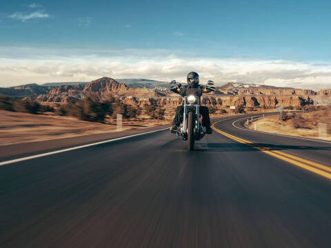 2023 Harley-Davidson Softail Standard