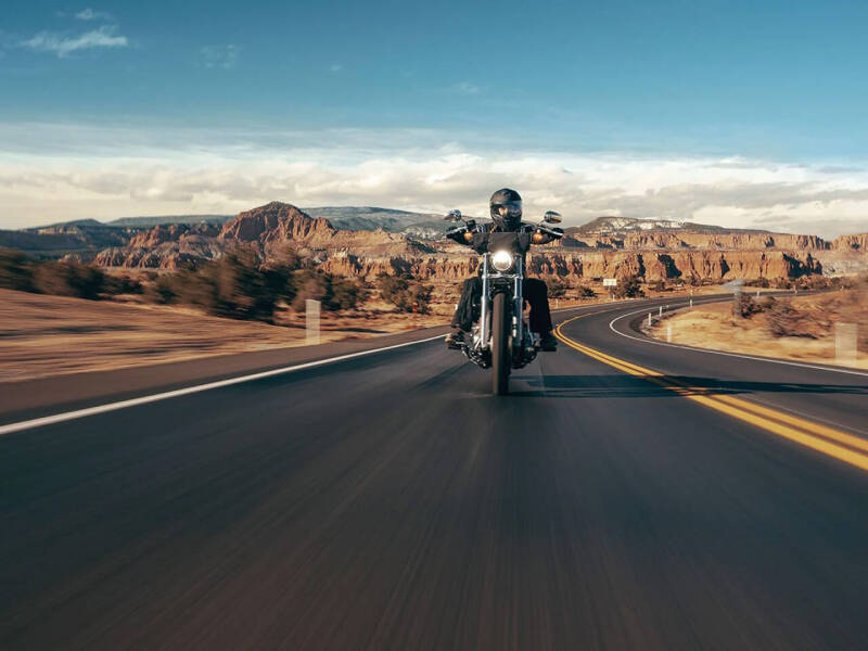 2023 Harley-Davidson Softail Standard