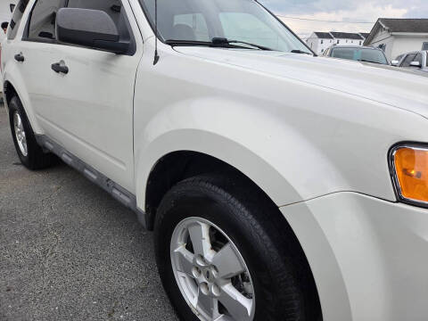 2010 Ford Escape XLT