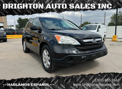 2007 Honda CR-V for sale at BRIGHTON AUTO SALES INC in Brighton CO