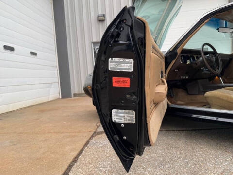 1981 Pontiac Firebird Trans Am