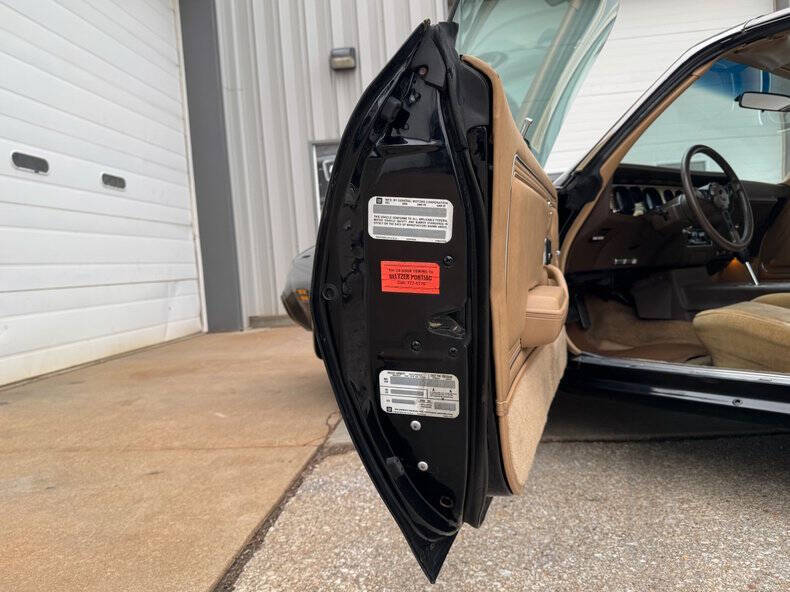 1981 Pontiac Firebird Trans Am