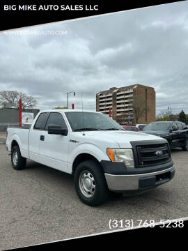 2013 Ford F-150 for sale at BIG MIKE AUTO SALES LLC in Lincoln Park MI