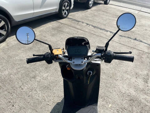 2020 Zebra E-bike