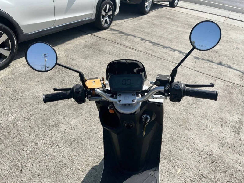 2020 Zebra E-bike