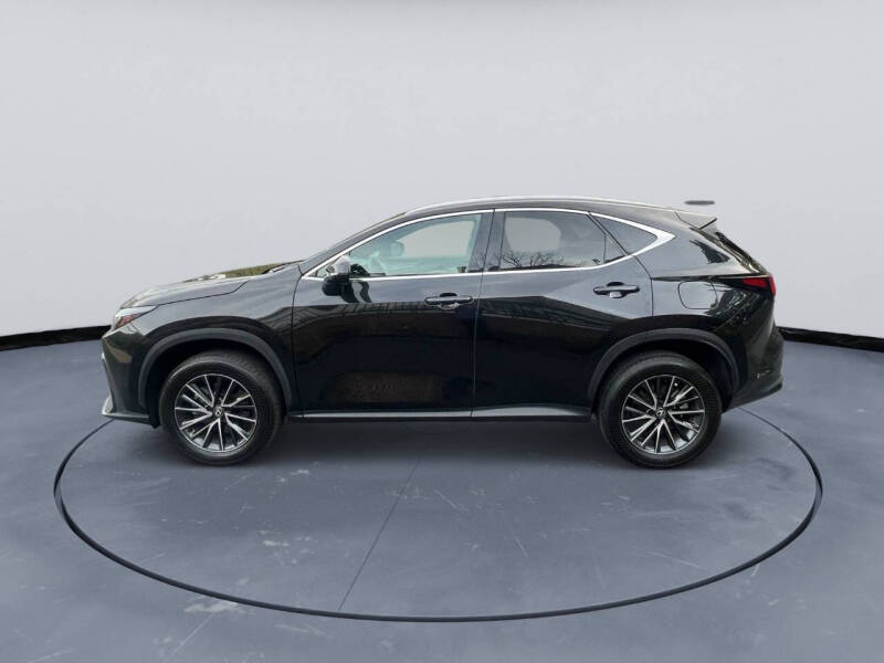 2024 Lexus NX 250 Premium