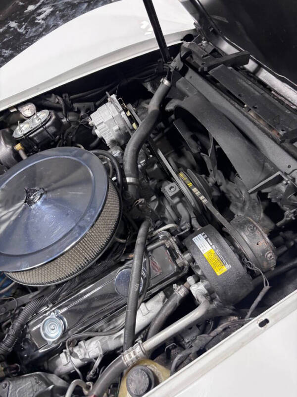 1981 Chevrolet Corvette