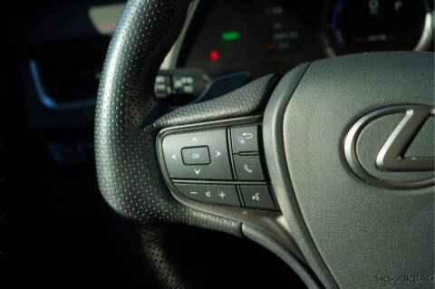 2020 Lexus UX 250h F SPORT