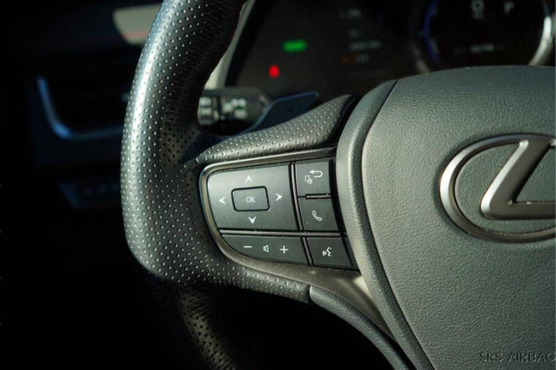 2020 Lexus UX 250h F SPORT