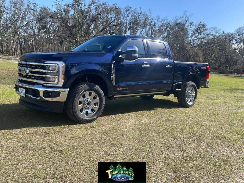 2025 Ford F-250 Super Duty for sale at TIMBERLAND FORD in Perry FL