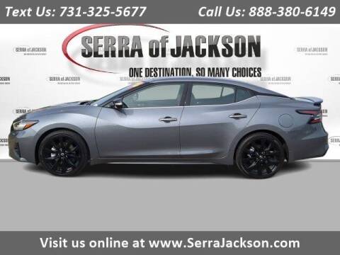 2023 Nissan Maxima for sale at Serra Of Jackson in Jackson TN