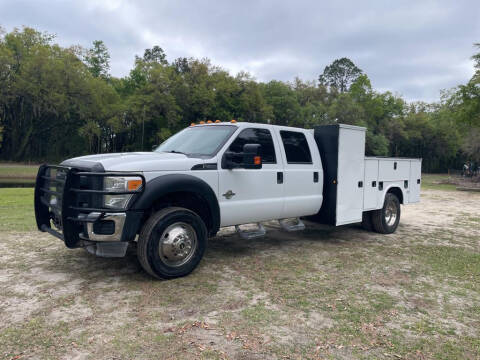 2016 Ford F-450 Super Duty for sale at TIMBERLAND FORD in Perry FL