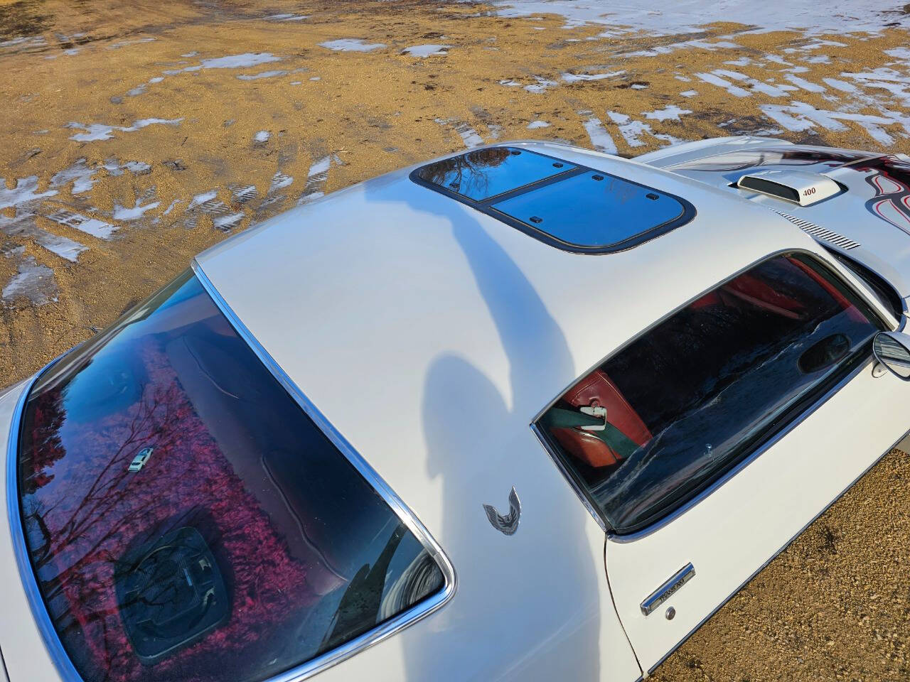 1976 Pontiac Trans Am 274