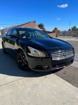 2014 Nissan Maxima for sale at Suburban Auto Sales LLC in Madison Heights MI