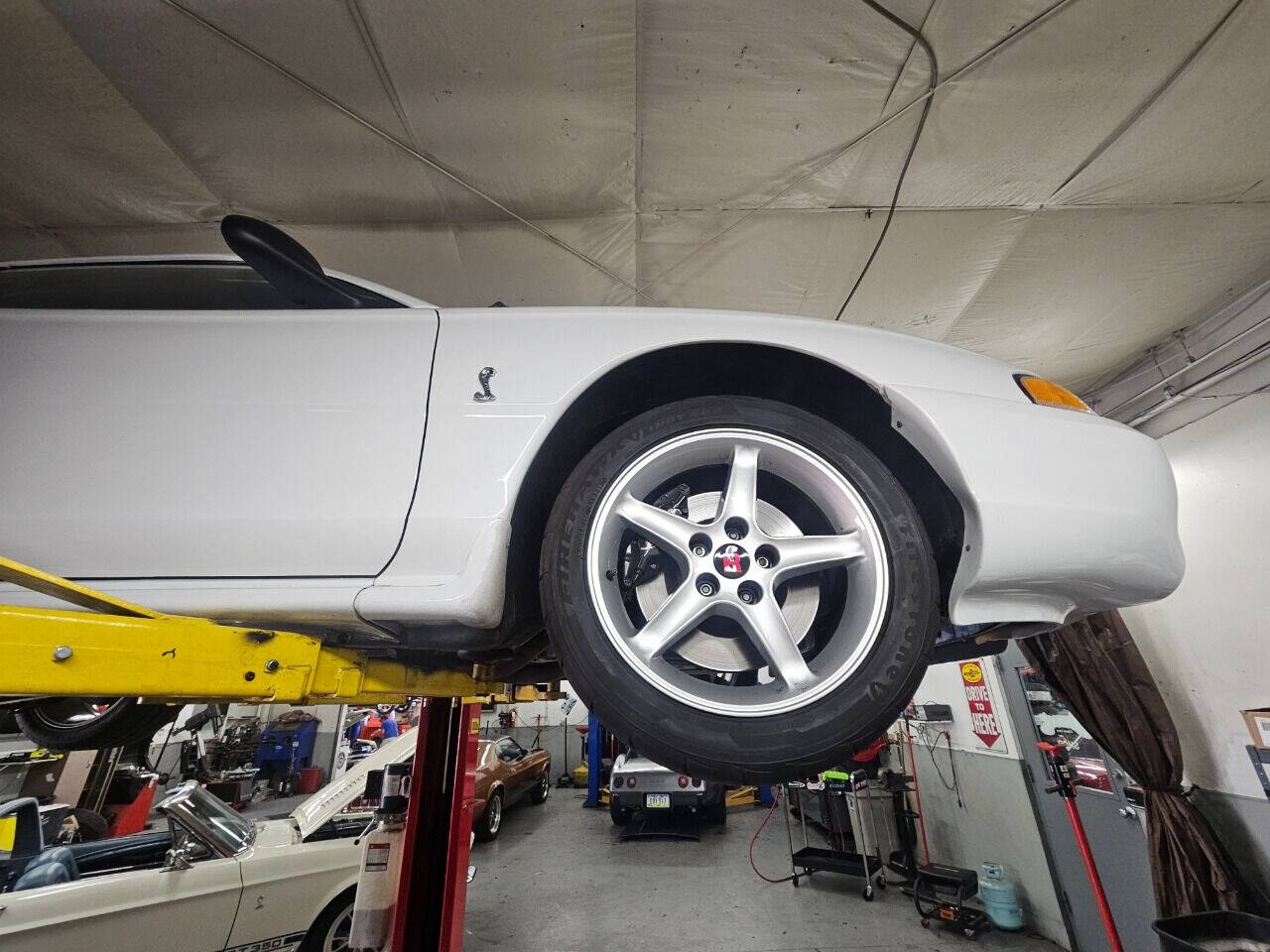 1995 Ford Mustang SVT Cobra 60