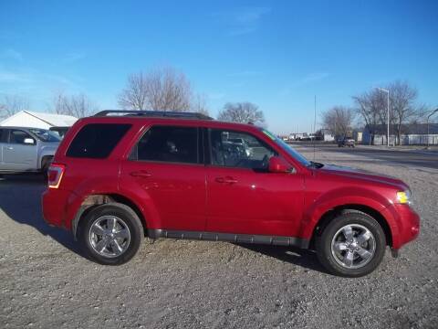 2011 Ford Escape for sale at BRETT SPAULDING SALES in Onawa IA