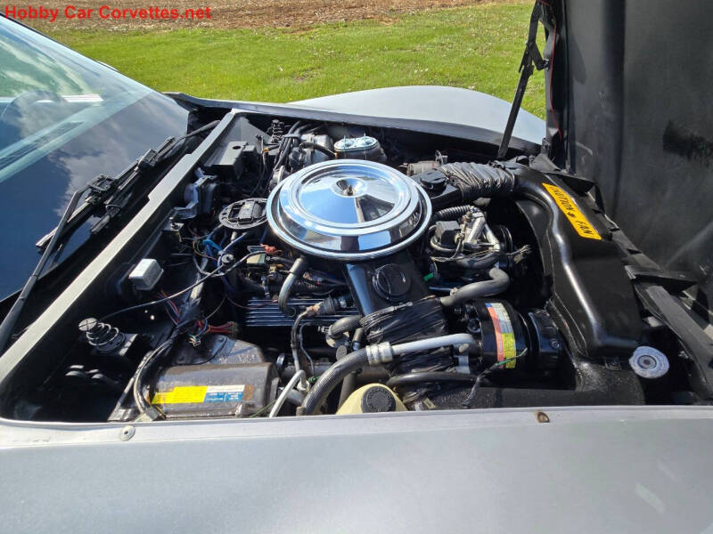 1981 Chevrolet Corvette
