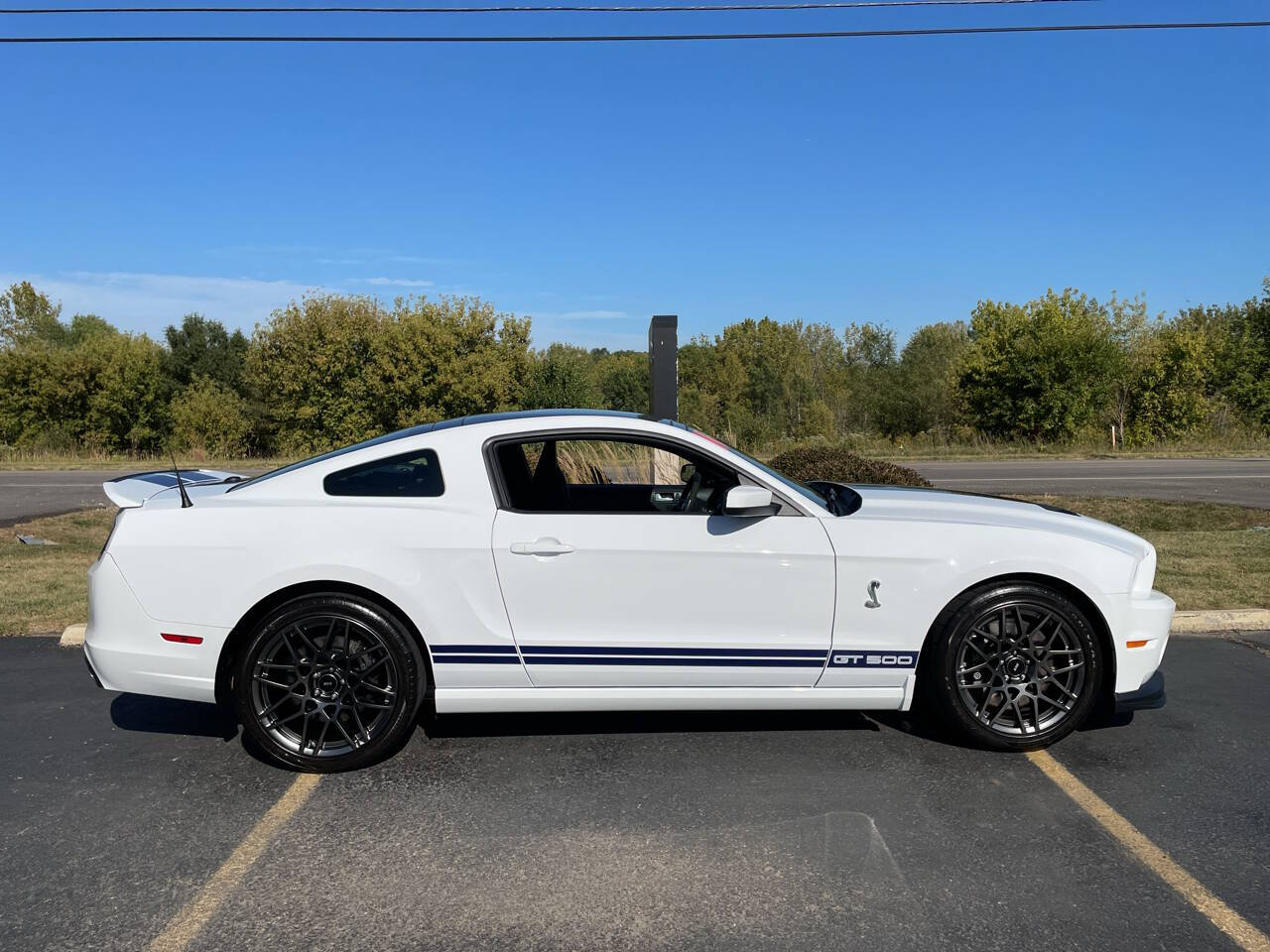 2014 Ford Shelby GT500 For Sale In Boston, MA