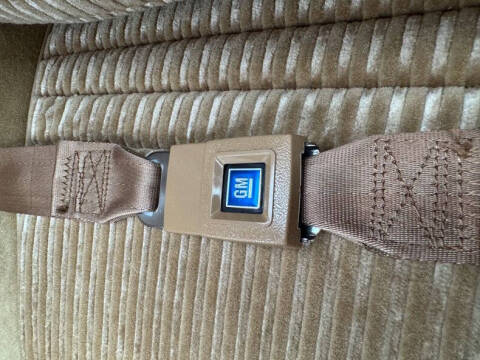 1981 Pontiac Firebird Trans Am