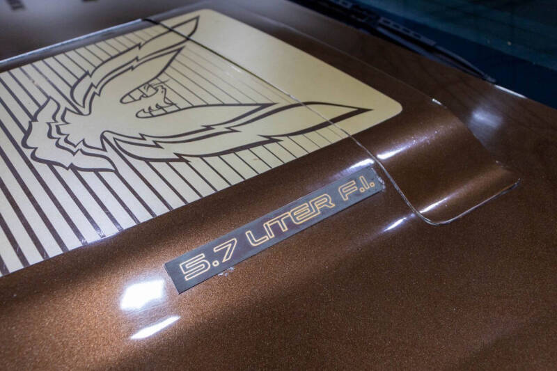 1984 Pontiac Firebird Trans Am